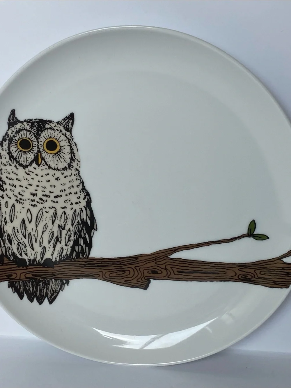 West Elm Owl Plate 8.5” Serving Art Drawing Display Bird Ceramic Birding Tree